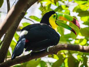 Highlights Yucat&aacute;n & Chiapas Superior