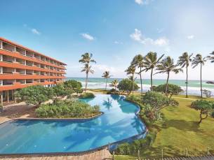 Hikka Tranz by Cinnamon