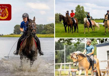 Avontuurlijke bosrit op een paard (3 Ã  4 uur)