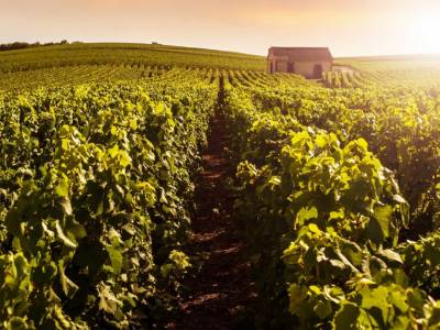 Verblijf in het hart van de Champagne-streek in Noord-Frankrijk incl. ontbijt en meer!