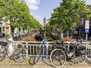 Fietscruise Zuid-Holland en omgeving