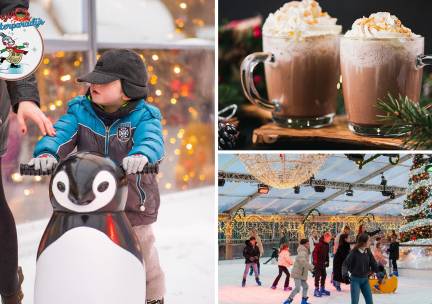 Entree incl. huur schaatsen, drankje en evt. meer bij Bergs Winterparadijs