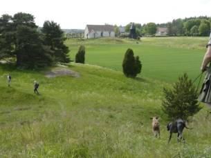 Gef&uuml;hrte Naturtour mit schwedischem Picknick