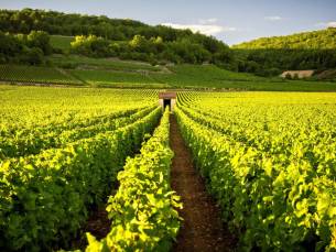 Verblijf 4, 5, 6 of 8 dagen in een charmant boutiquehotel nabij de kastelen in de Loire-Vallei incl. ontbijt, whirlpools & GRATIS parkeren!