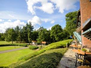 Geniet van de rust van de natuur te midden van de bossen van het Nationaal Park Veluwe