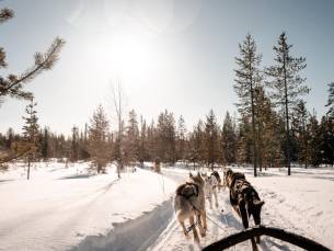 De ULTIEME alles-in-1 experience: Fins Lapland! ???? Verblijf in een Chalet met PRIV&Eacute; SAUNA o.b.v. halfpension & incl. vlucht, transfer, bagage, 3(!) EXCURSIES & meer!
