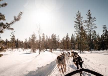 De ULTIEME alles-in-1 experience: Fins Lapland! ???? Verblijf in een Chalet met PRIV&Eacute; SAUNA o.b.v. halfpension & incl. vlucht, transfer, bagage, 3(!) EXCURSIES & meer!