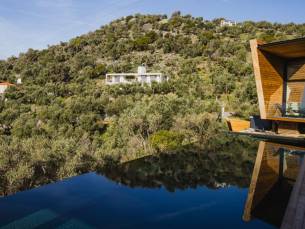 Five Olive Dream Trip