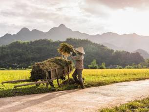 Traditioneel Vietnam