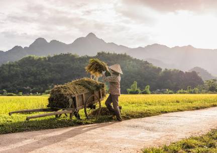 Traditioneel Vietnam