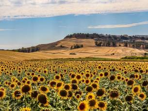 Paradores Fly-drive Ronde van Andalusië