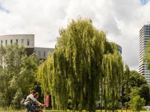 3 dagen 4*-hotel in Eindhoven incl. ontbijt, drankje, hapje & fietshuur!