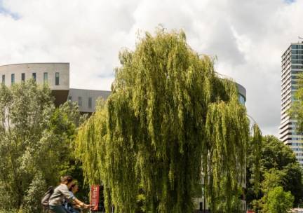 3 dagen 4*-hotel in Eindhoven incl. ontbijt, drankje, hapje & fietshuur!