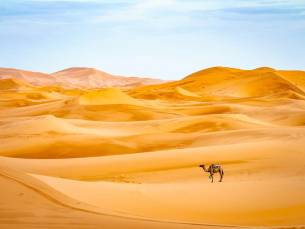 15 dagen - Woestijn, cultuur & kust in Marokko