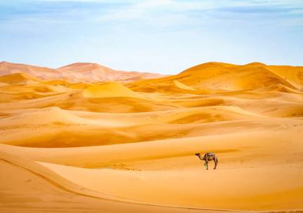 15 dagen - Woestijn, cultuur & kust in Marokko
