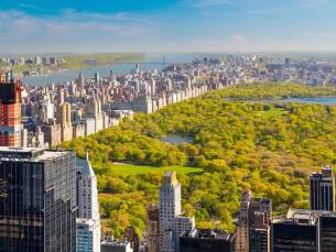 New York & Cape Cod