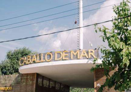 Camping Caballo de Mar