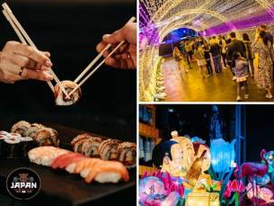 Entree Japan & Korea Food & Light Festival Zaanstad 2025