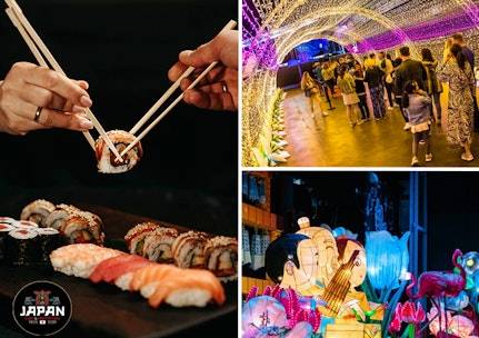 Entree Japan & Korea Food & Light Festival Zaanstad 2025