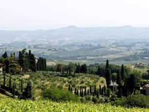 Il Casale Del Cotone