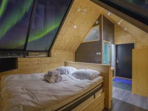 Star Arctic