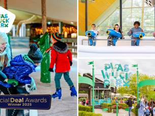 Entree Plaswijckpark inclusief schaatsen