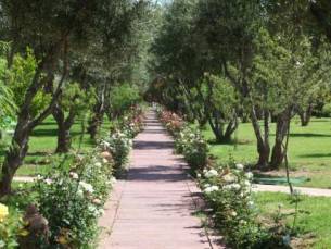 Eden Andalou Spa & Resort