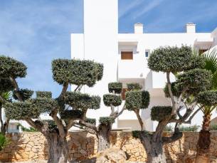 MarSenses Ferrera Blanca Hotel Family