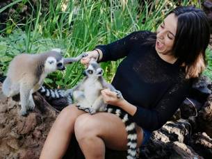 Eintritt in den Oasis Park Fuerteventura mit Lemuren-Erlebnis