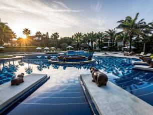 Palm Garden Resort