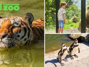 Gehele dag entree tot Eindhoven Zoo (voorheen Dierenrijk)