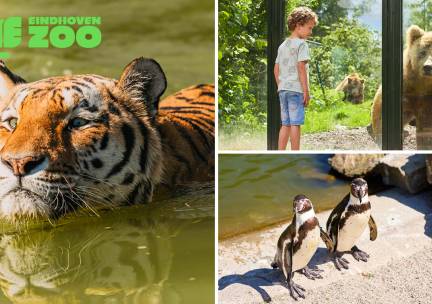Gehele dag entree tot Eindhoven Zoo (voorheen Dierenrijk)