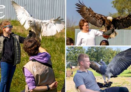 Valkeniersworkshop (3 uur) bij Falconcrest