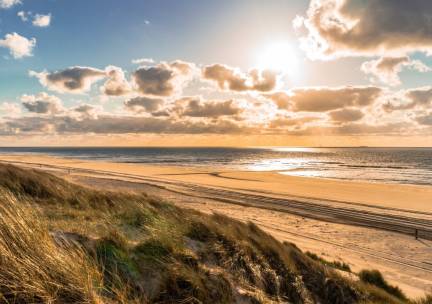 Knus hotel in de bossen van Vlieland incl. ontbijt, NS treinretour en overtocht naar Vlieland!