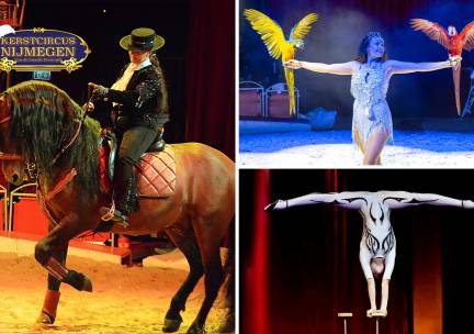 Entree Kerstcircus Nijmegen