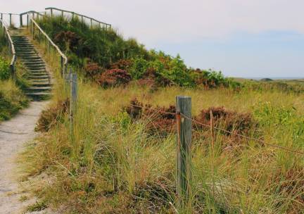 FLASHDEAL! ⚡ Verblijf in een 4*-hotel in de Schoorlse Duinen nabij Alkmaar incl. ontbijt en een welkomstdrankje!