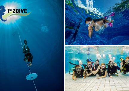 Introductieles (3 uur) voor duiken, freediven of mermaiding
