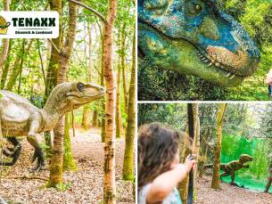 Entree bij Dinopark & Landgoed Tenaxx