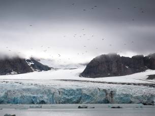 Rund um Spitzbergen - Im Reich von Eisbär & Eis