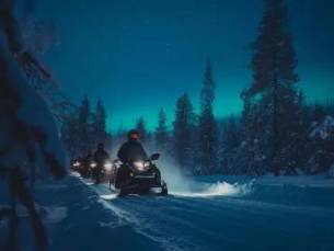 Vlieg-busreis Winterbelevenis Lapland