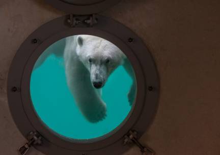 Wildlands Adventure Zoo Emmen