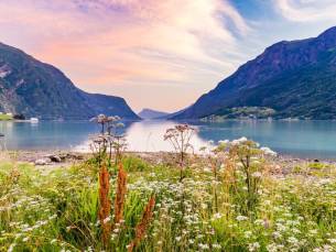 Bewonder de Noorse fjorden en steden tijdens een 8-daagse cruise met Holland America Line vanuit Rotterdam o.b.v. volpension of all-inclusive