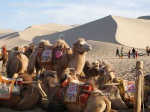 De Zijderoute van Marco Polo