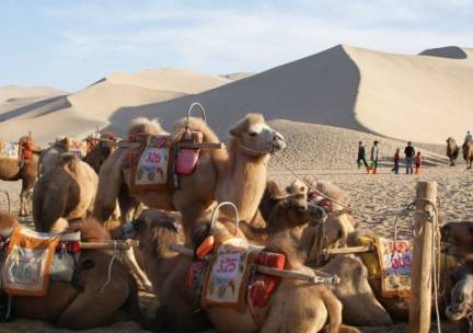 De Zijderoute van Marco Polo