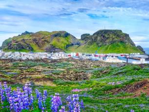Cruise van IJsland via Schotland naar Rotterdam incl. vlucht en o.b.v. volpension