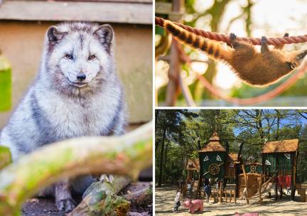 Dagentree voor het Natuur- en Dierenpark Brüggen