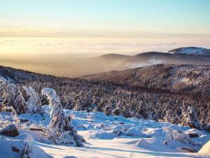 FLASHDEAL! ⚡ Verblijf 4, 5, 6 of 8 dagen o.b.v. all-inclusive in een knus hotel met wellness in het betoverende Harzgebergte