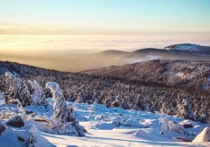 FLASHDEAL! ⚡ Verblijf 4, 5, 6 of 8 dagen o.b.v. all-inclusive in een knus hotel met wellness in het betoverende Harzgebergte