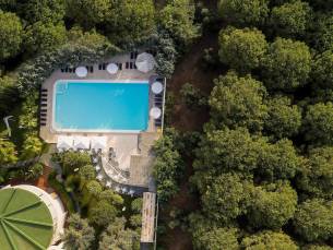 Le Palme