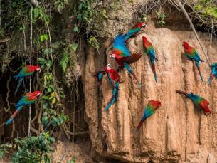 Van de Hooglanden tot de Jungle van Peru